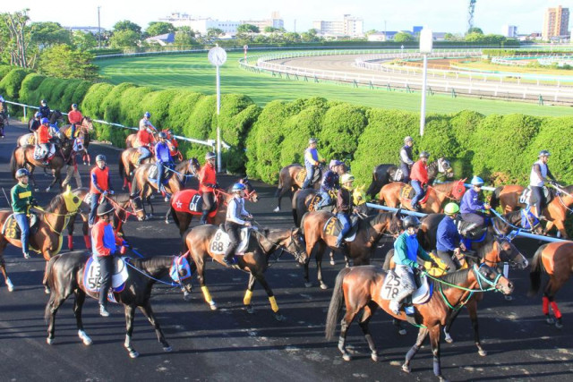競走馬続々入厩 １５日開幕函館競馬 函館新聞デジタル