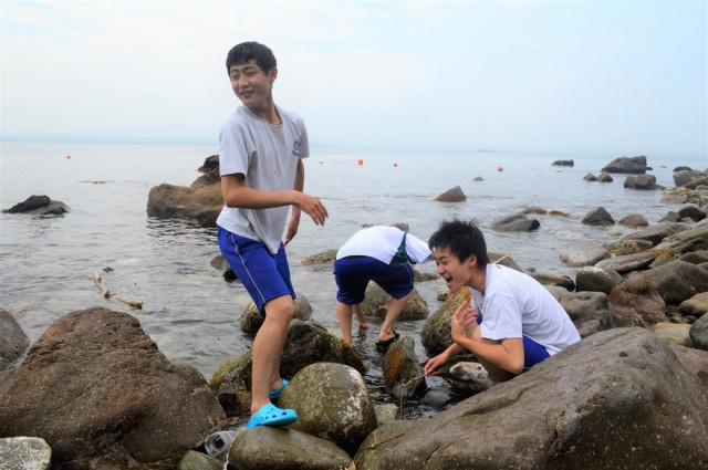 夏だ 海だ 入舟町前浜海水浴場オープン 函館新聞デジタル