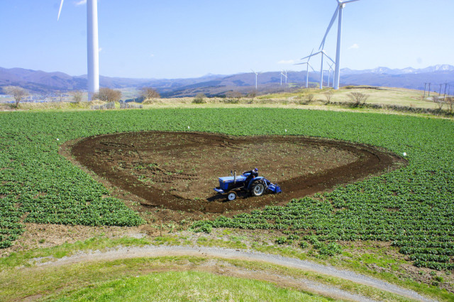 ハートの遊歩道着々 上ノ国花畑プロジェクト 今年度の活動開始 函館新聞電子版