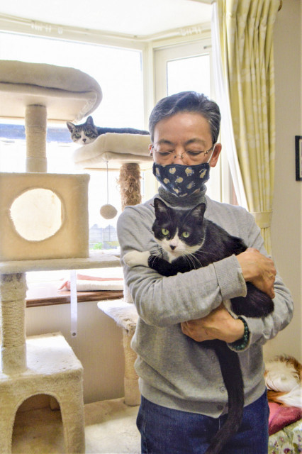 地域猫活動グループ 陽だまり 発足 野良猫との共生を 函館新聞電子版