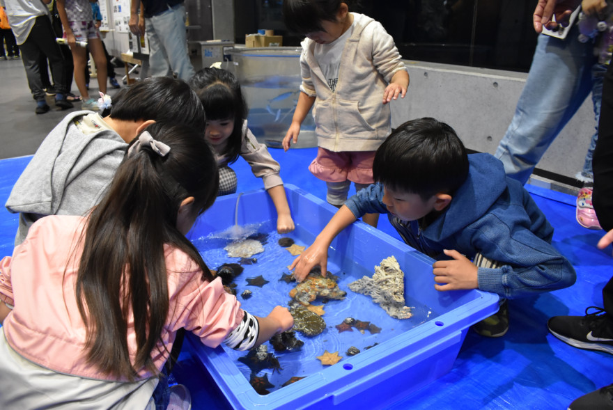 函館でカルチャーナイト 大勢の親子連れが夜の施設探検満喫 / 函館新聞デジタル