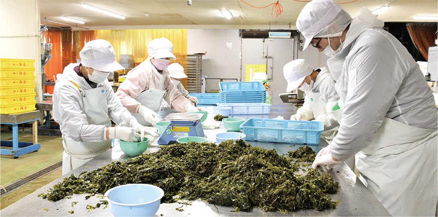 工場直売所巡り②／久二 野村水産 函館直営店 / 函館新聞デジタル