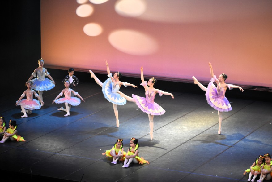 日頃の成果を披露する出演者